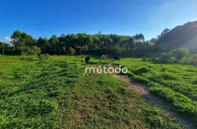 Sítio à venda, 20000 m² por R$ 395.000,00 - Itapeti - Guararema/SP