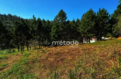 Terreno à venda, 10068 m² por R$ 295.000,00 - Ponte Alta - Guararema/SP