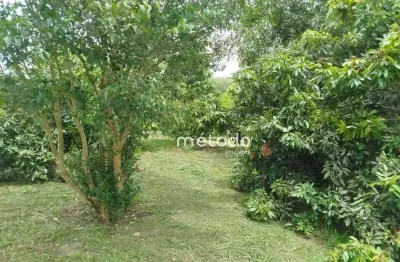 Terreno à venda, 1600 m² por R$ 225.000,00 - Parque Agrinco - Guararema/SP