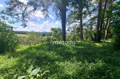 Terreno à venda, 3900 m² por r$ 480.000,00 - parque agrinco - guararema/sp