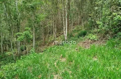 Sítio à venda, 20000 m² por R$ 200.000,00 - Freguesia da Escada - Guararema/SP