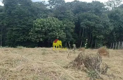 Terreno à venda, 1000 m² por r$ 235.000 - campo largo - jarinu/são paulo