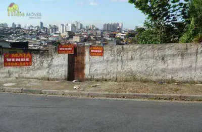 Terreno residencial à venda, vila palmeiras, são paulo.
