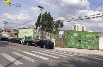 Terreno para alugar, 2400 m² por r$ 70.000,00/mês - jardim cidade pirituba - são paulo/sp