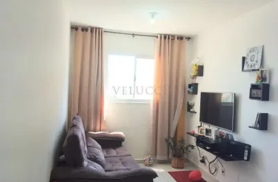 Apartamento à venda no jardim das palmeiras, em nova odessa.