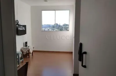 Apartamento à venda com 2 quartos na vila miguel vicente cury em campinas.