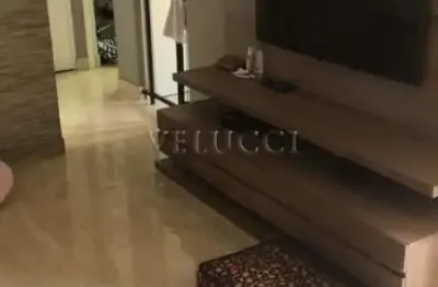 Apartamento à venda com 2 quartos em campinas no jardim ipaussurama.