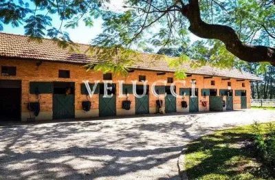 Terreno à venda na avenida haras patente, s/n, residencial haras patente, jaguariúna, 80 m2 por r$ 680.000
