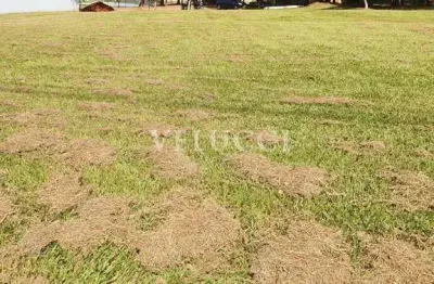 Terreno à venda na rua iolanda tiziani pazetti, boa esperança, paulínia por r$ 447.000