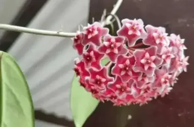 Casa com 3 quartos à venda na Rua Gonçalves Aranha, 222, Vila Santa Terezinha (Zona Norte), São Paulo por R$ 850.000