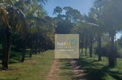 Sítio com 2 dormitórios à venda, 72600 m² por r$ 1.500.000,00 - zona rural - mendonça/sp