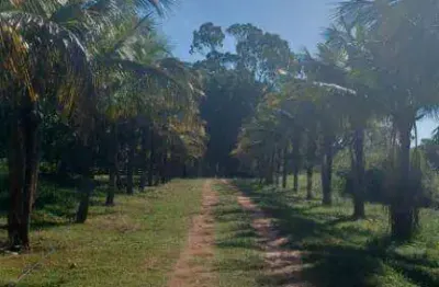 Sítio à venda, 72600 m² por r$ 1.500.000,00 - zona rural - mendonça/sp