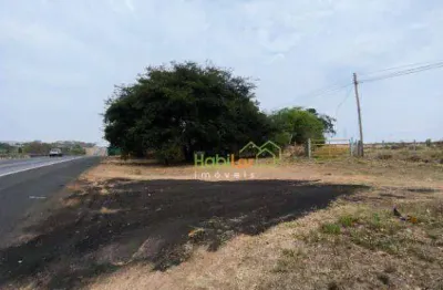 Área à venda, 142810 m² por r$ 12.000.000,00 - rodovia - cedral/sp