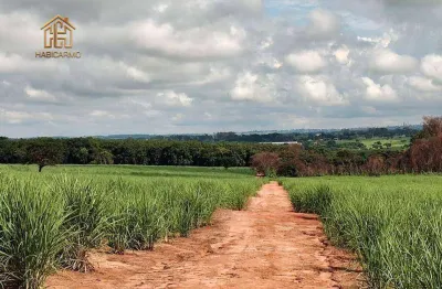 Área à venda, 313000 m² por r$ 16.900.000,00 - jardim aurora - bady bassitt/sp