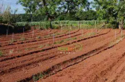 Sítio à venda, 24200 m² por r$ 800.000,00 - zona rural - nova aliança/sp