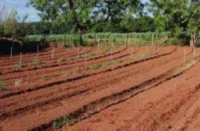 Sítio à venda, 24200 m² por r$ 800.000,00 - zona rural - nova aliança/sp