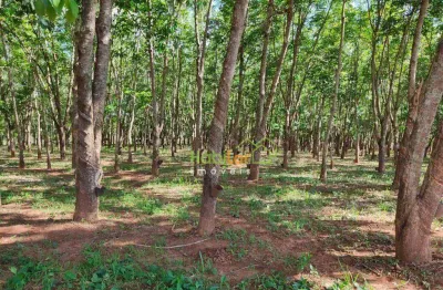 Sítio à venda, 242000 m² por r$ 2.200.000,00 - zona rural - jales/sp