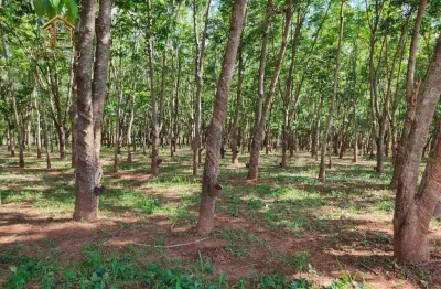 Sítio à venda, 242000 m² por r$ 2.200.000,00 - zona rural - jales/sp