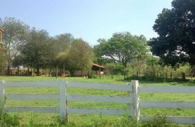 Sítio à venda, 193600 m² por r$ 3.500.000,00 - trevo de bady bassit - bady bassitt/sp