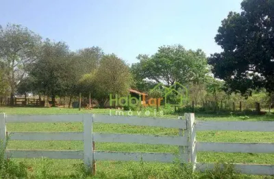 Sítio à venda, 193600 m² por r$ 3.500.000,00 - trevo de bady bassit - bady bassitt/sp