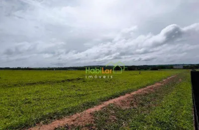 Área à venda, 40000 m² por r$ 6.000.000,00 - cedral - cedral/sp
