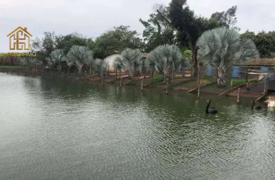 Sítio à venda, 84700 m² por r$ 3.500.000,00 - zona rural - bady bassitt/sp