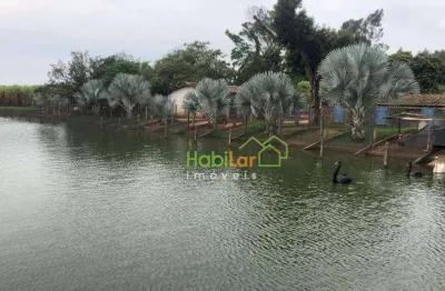 Sítio à venda, 84700 m² por r$ 3.500.000,00 - zona rural - bady bassitt/sp