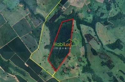 Sítio à venda, 338800 m² por r$ 1.400.000,00 - zona rural - macaubal/sp