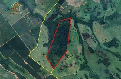 Sítio à venda, 338800 m² por r$ 1.400.000,00 - zona rural - macaubal/sp