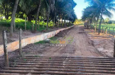 Sítio à venda, 471900 m² por r$ 7.450.000,00 - zona rural - monte aprazível/sp