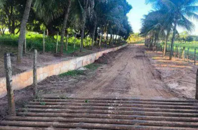 Sítio à venda, 471900 m² por r$ 7.450.000,00 - zona rural - monte aprazível/sp