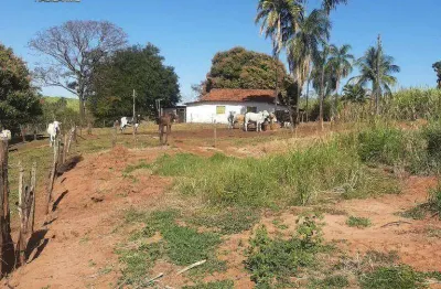 Sítio à venda, 726000 m² por r$ 7.500.000,00 - zona rural - olímpia/sp