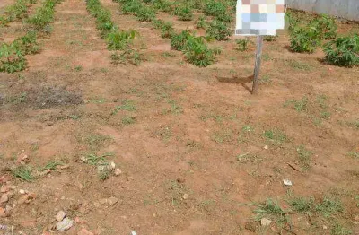 Terreno à venda, 185 m² por r$ 80.000,00 - jardim do cedro - cedral/sp