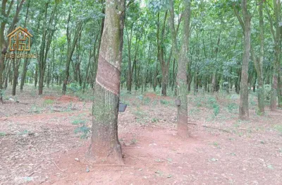 Sítio à venda, 177000 m² por r$ 2.450.000,00 - zona rural - jaci/sp