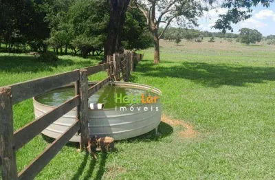 Sítio à venda, 423500 m² por r$ 2.975.000,00 - santa fe do sul - santa fé do sul/sp