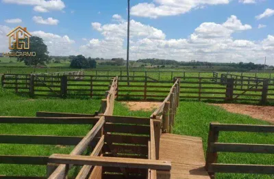 Sítio com 1 dormitório à venda, 399300 m² por r$ 2.999.000,00 - santa fe do sul - santa fé do sul/sp