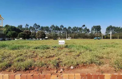 Terreno à venda, 200 m² por r$ 80.000,00 - loteamento jorge rodrigues - são josé do rio preto/sp