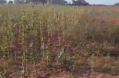 Sítio à venda, 193600 m² por r$ 850.000,00 - zona rural - promissão/sp