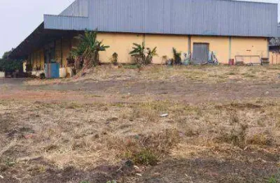 Barracão à venda, 2000 m² por r$ 4.800.000,00 - centro - cedral/sp