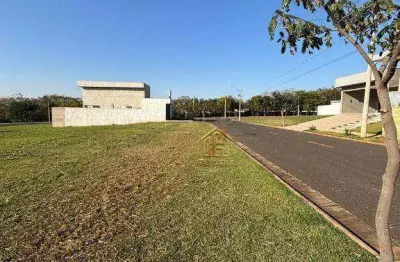 Terreno à venda, 313 m² por r$ 170.000,00 - alphaville - mirassol/sp