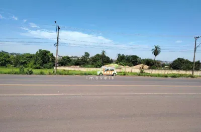 Área, 3500 m² - venda por r$ 4.000.000,00 ou aluguel por r$ 6.000,00/mês - brejo alegre - são josé do rio preto/sp