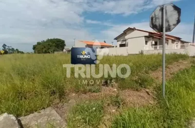 Terreno à venda no Nova Divinéia, Araranguá 