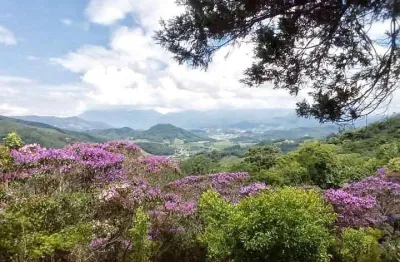 Sítio para venda em santo amaro da imperatriz, varginha, 5 dormitórios, 2 suítes, 6 banheiros, 1 vaga