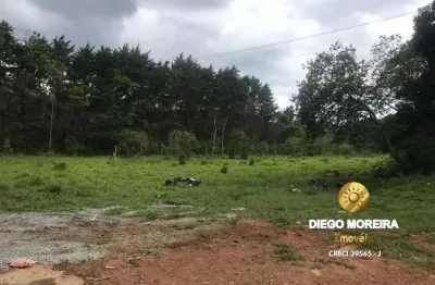 Área industrial à venda em terra preta – localização estratégica!
