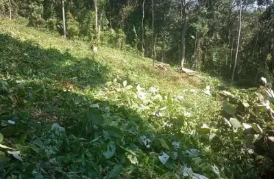 Terreno em condomínio fechado à venda na Alameda das Sempre Vivas, Pirucaia, Mairiporã