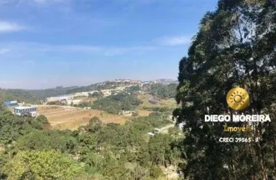 Terreno em terra preta com 1.040 m² para fim residencial ou industrial