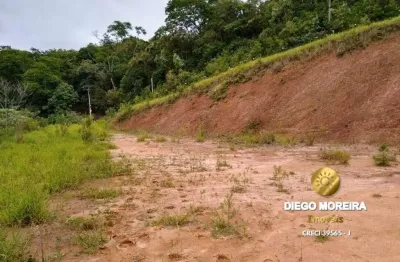Terreno à venda na Avenida Doutor Sérgio Machado Brauner, Terra Preta, Mairiporã