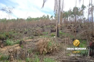 Terreno à venda na Estrada Mário Freitas Da Silva - Mato Dentro, Mato Dentro, Mairiporã