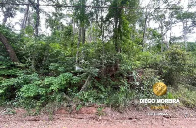 Terreno à venda na Rua Presidente Arthur Da Silva Bernardes, Jundiaizinho, Mairiporã