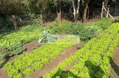Casa com 1 quarto à venda no Centro, Dumont 